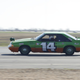 Illustration for article titled 24 Hours Of LeMons Texas Gator-O-Rama 2009 Über Gallery: The Americans